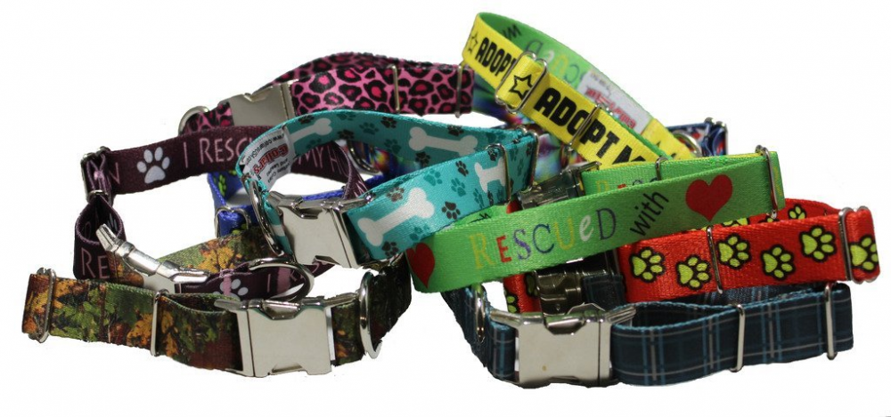 Patterned Webbing Collar