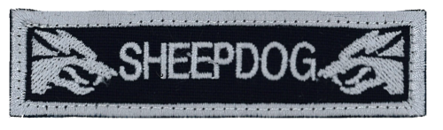 Morale Patch